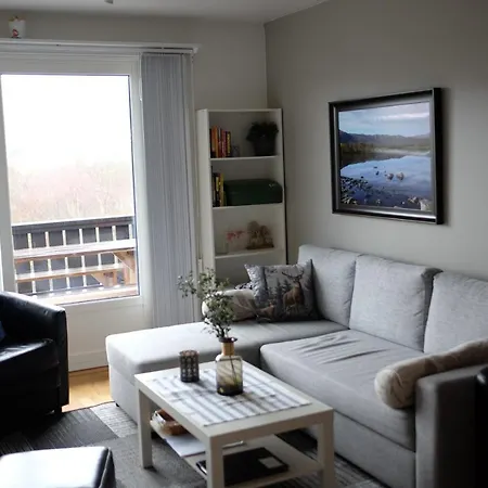 公寓 Fjelltun Fritidsleiligheter, 407 耶卢