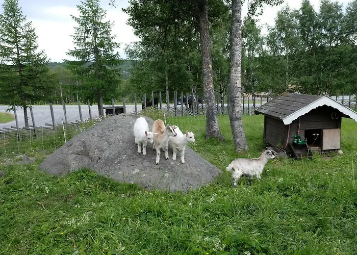 Apartmán Fjelltun Fritidsleiligheter, 407 Geilo